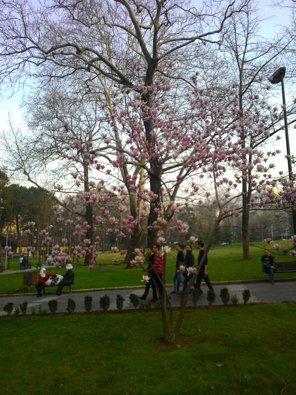 Bursa Anadolu Kız Lisesi Fotoğrafları 2