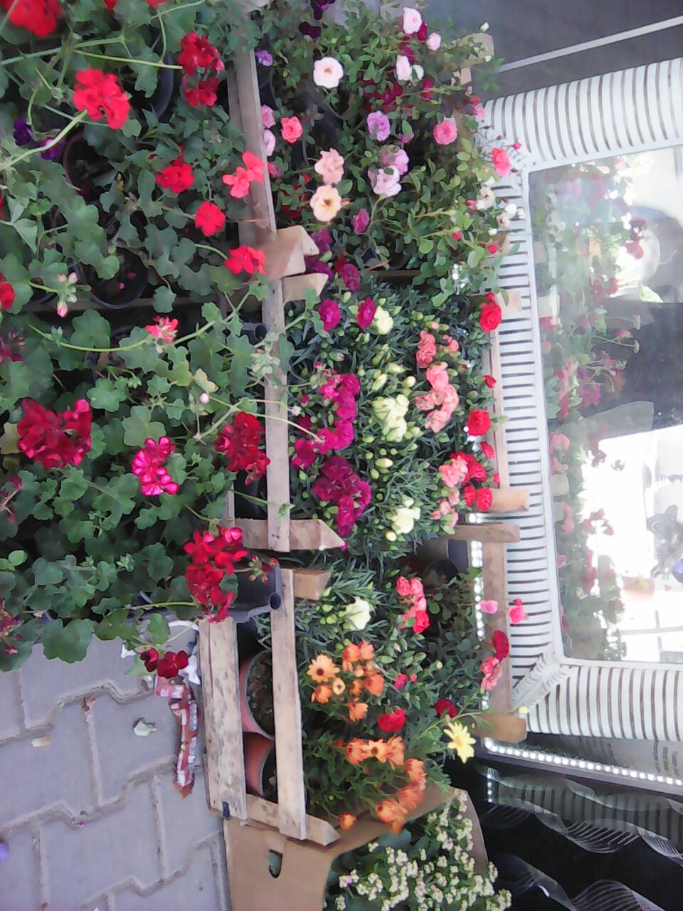 Bursa Anadolu Lisesi Fotoğrafları 3