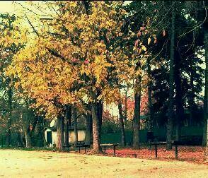 Bursa Atatürk Anadolu Lisesi Fotoğrafları 4