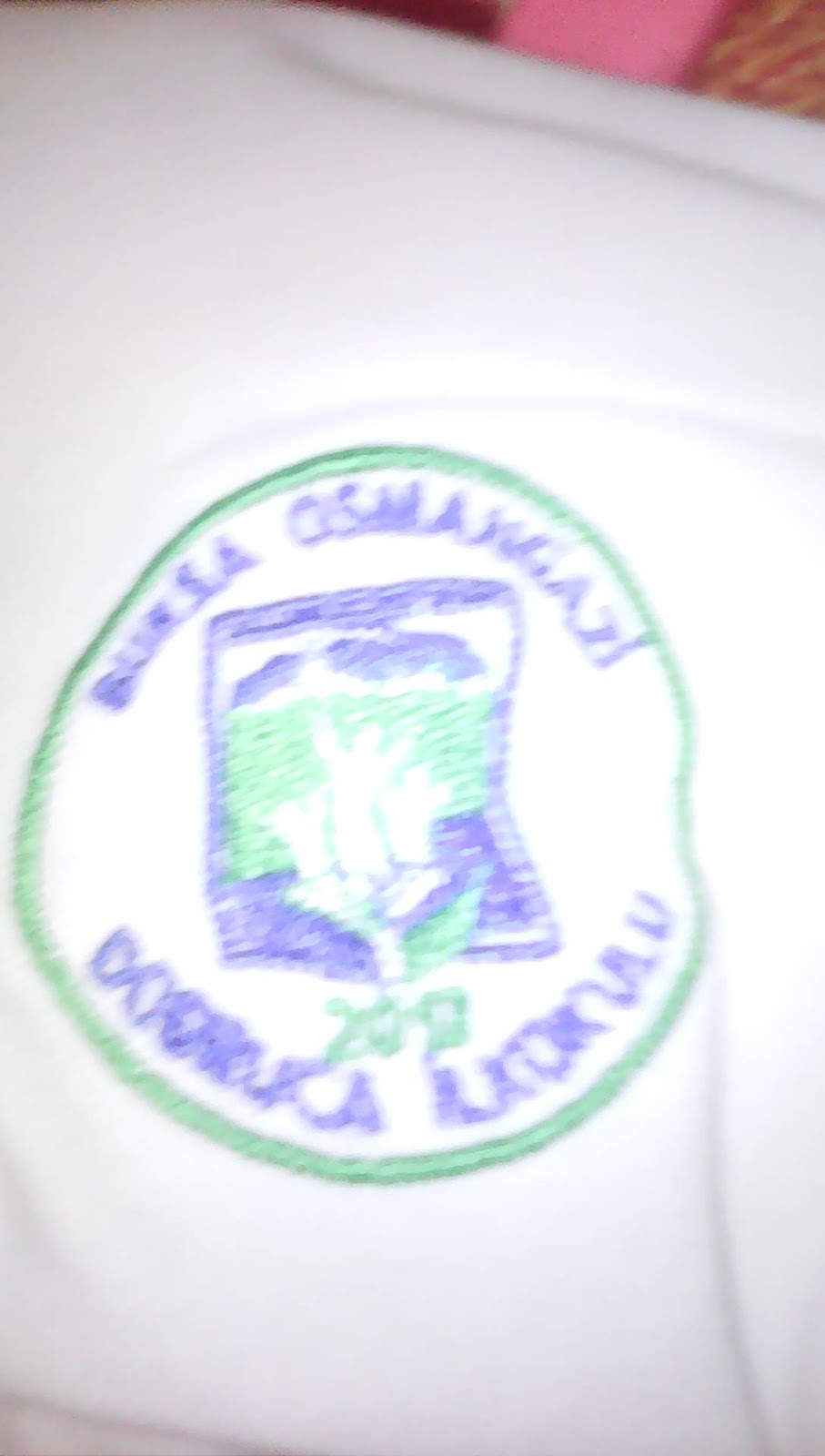 Dobruca İlkokulu Fotoğrafları 1