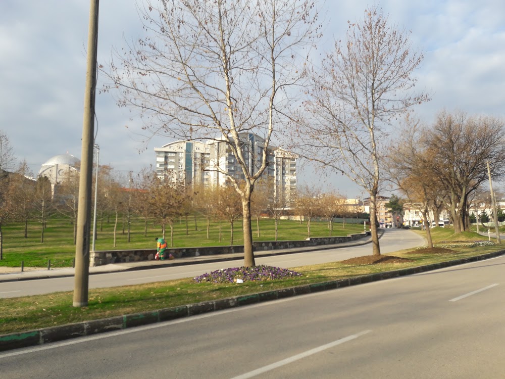 Toki Şehit Jandarma Er Ali Bakış İlkokulu Fotoğrafları 6