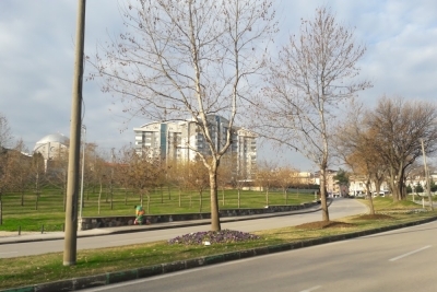 Toki Şehit Jandarma Er Ali Bakış İlkokulu fotoğraf 6
