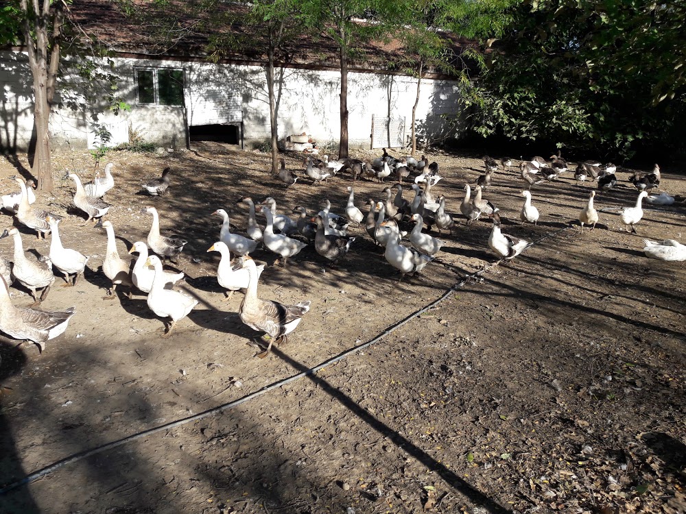 Osmangazi Hamidiye Mesleki Ve Teknik Anadolu Lisesi Fotoğrafları 2