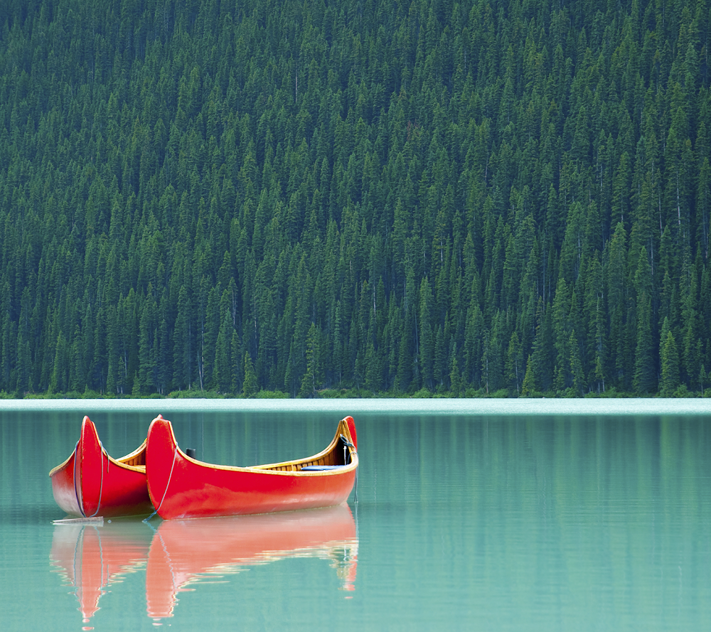 Hürriyet Ticaret Ve Sanayi Odası İlkokulu Fotoğrafları 1