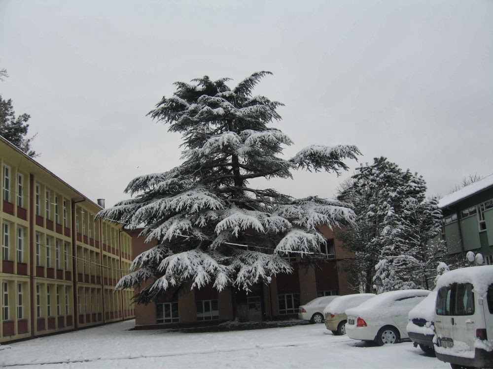 Osmangazi Muradiye Mesleki Ve Teknik Anadolu Lisesi Fotoğrafları 1