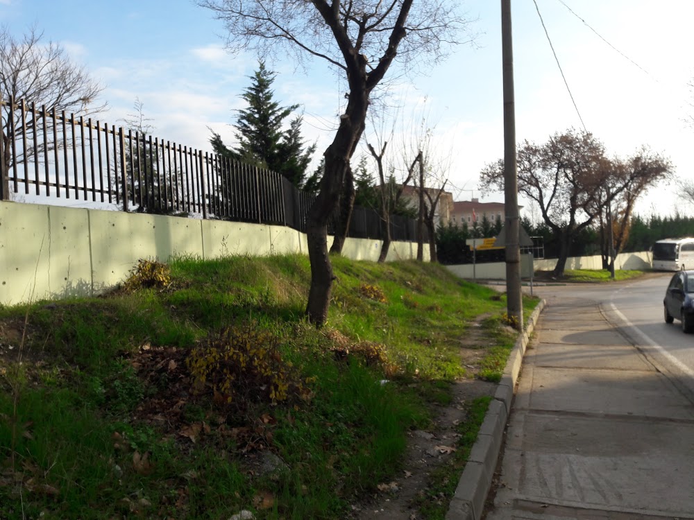 Mustafa Münevver Olağaner İlkokulu Fotoğrafları 2