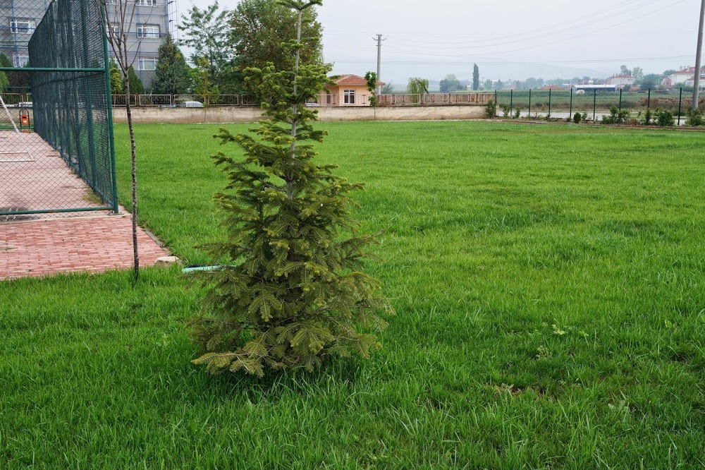 Yenişehir Yenişehir Mesleki Ve Teknik Anadolu Lisesi Fotoğrafları 3
