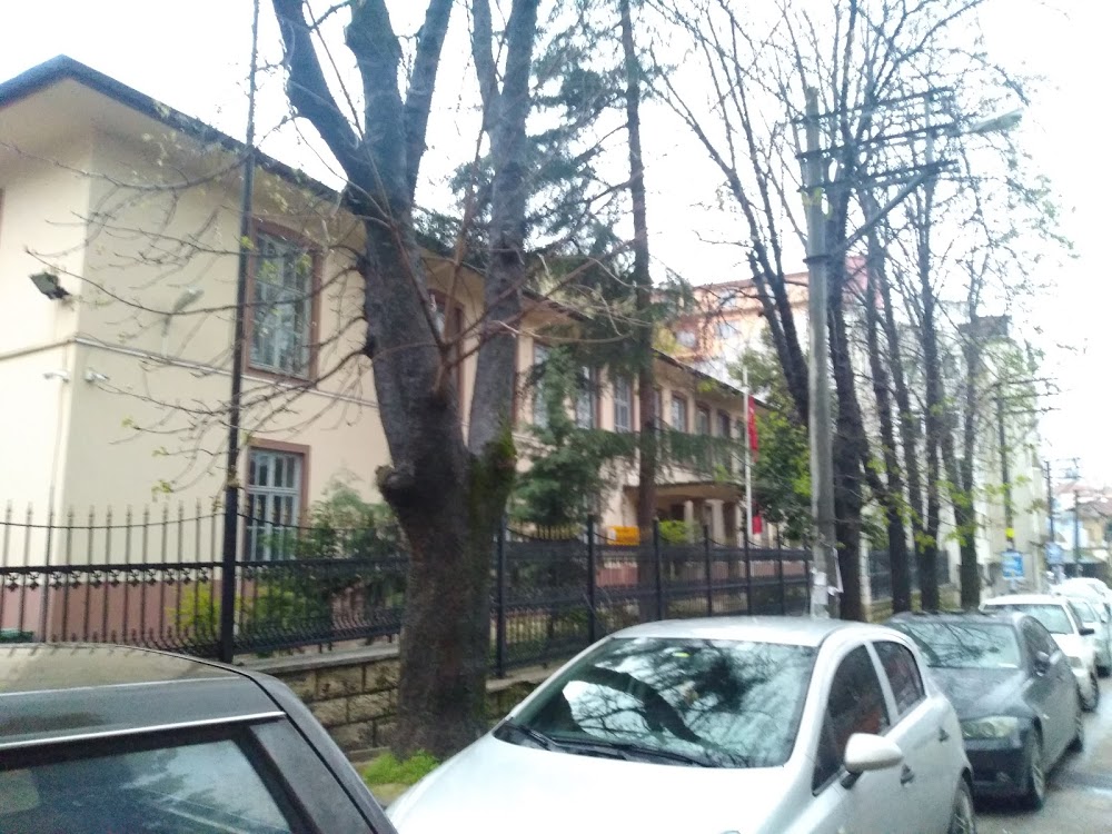 Osmangazi Osmangazi Mesleki Ve Teknik Anadolu Lisesi kampüs fotoğrafı