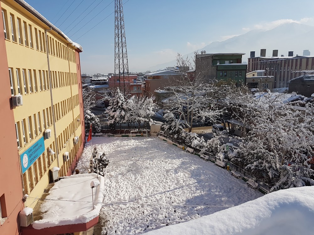 Şehit Doğan Sevinç Ortaokulu Fotoğrafları 1