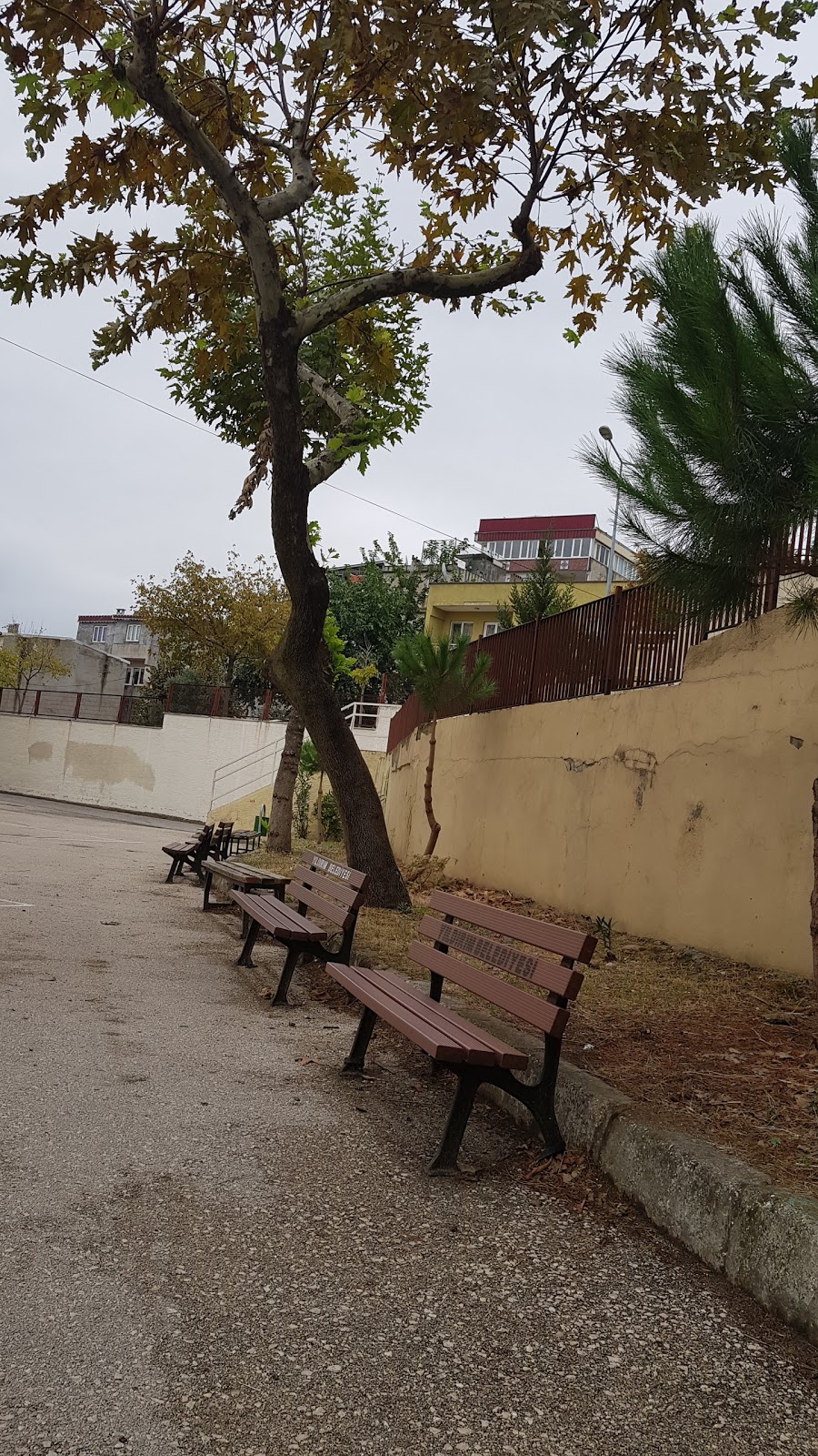 Bursa Ahmet Vefik Paşa Anadolu Lisesi Fotoğrafları 2