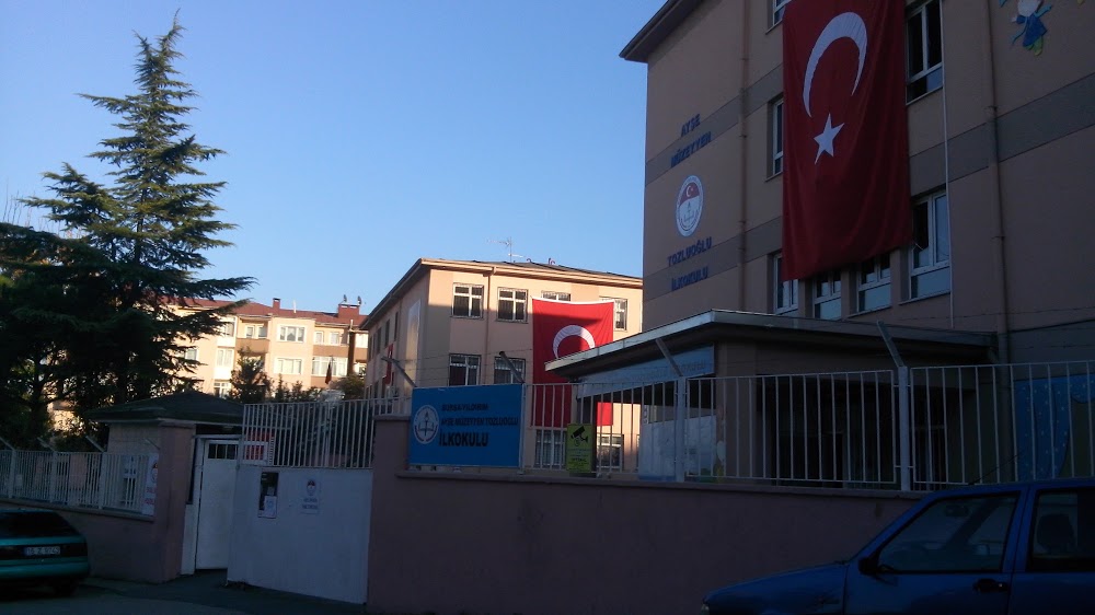 Ayşe Müzeyyen Tozluoğlu İlkokulu Fotoğrafları 2