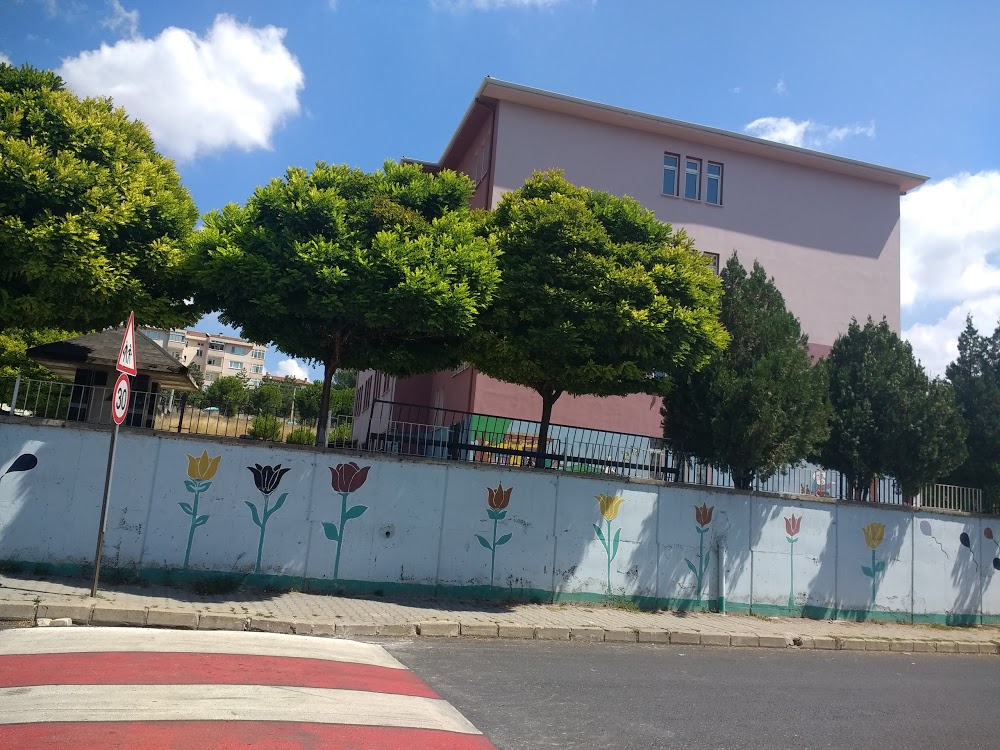 Orhangazi 75. Yıl İlkokulu Fotoğrafları 3