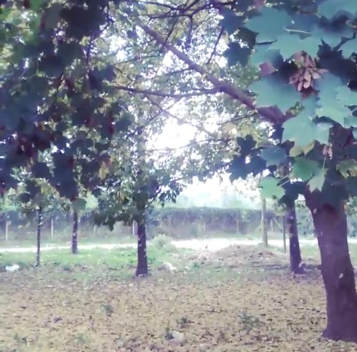 Samanlı İlkokulu Fotoğrafları 1