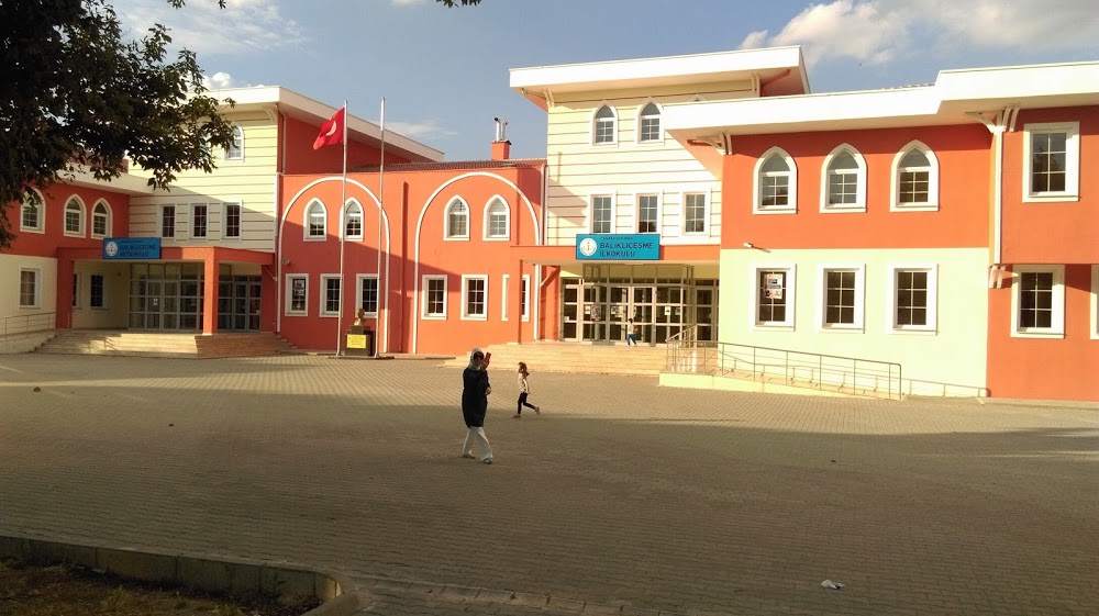 Balıklıçeşme Ortaokulu Fotoğrafları 1