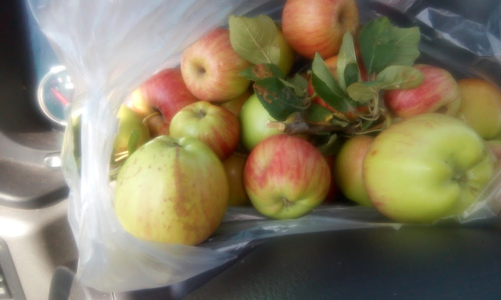 Güvemalan Ortaokulu Fotoğrafları 1