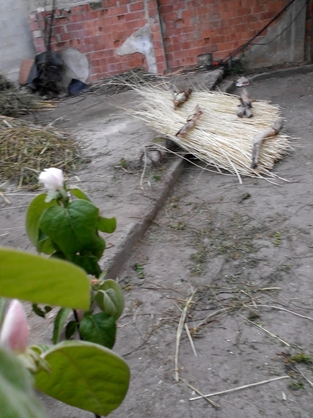 Biga Osmangazi İlkokulu Fotoğrafları 1