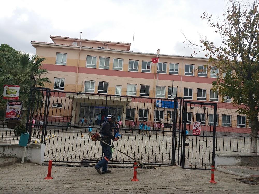 Tevfik Emin Başarır İlkokulu Fotoğrafları 1