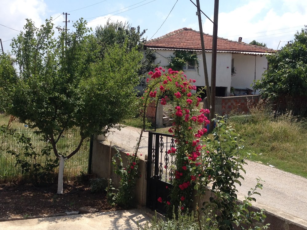 Biga Yeniceköy İlkokulu Fotoğrafları 1