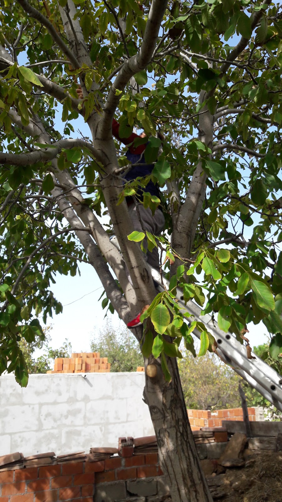 Çanakkale Akçapınar Ortaokulu Fotoğrafları 1