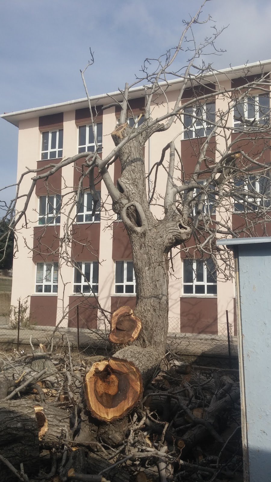 Gökçeada Ortaokulu Fotoğrafları 3