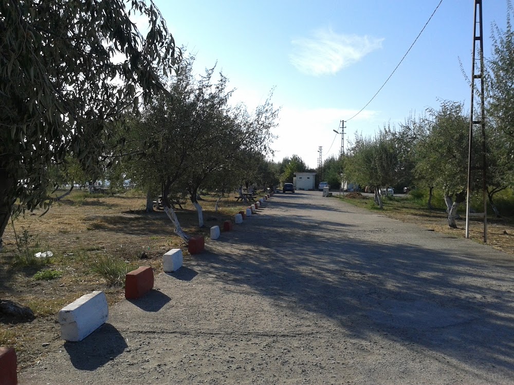 Lapseki Çardak İlkokulu Fotoğrafları 4