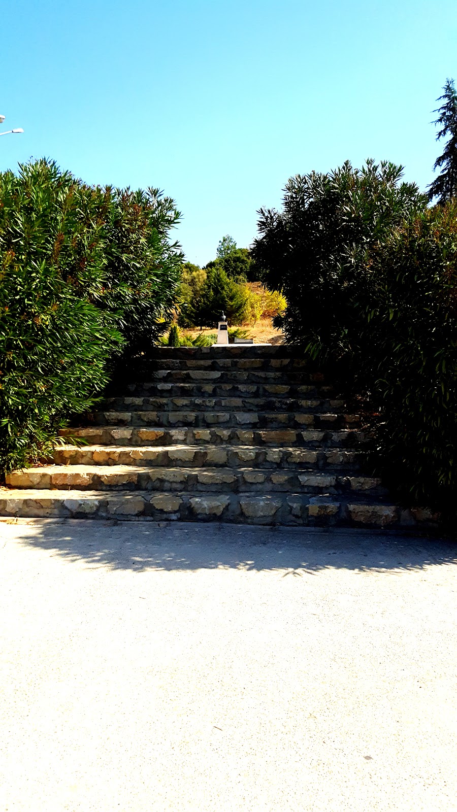 Hüseyin Akif Terzioğlu Anadolu Lisesi Fotoğrafları 3