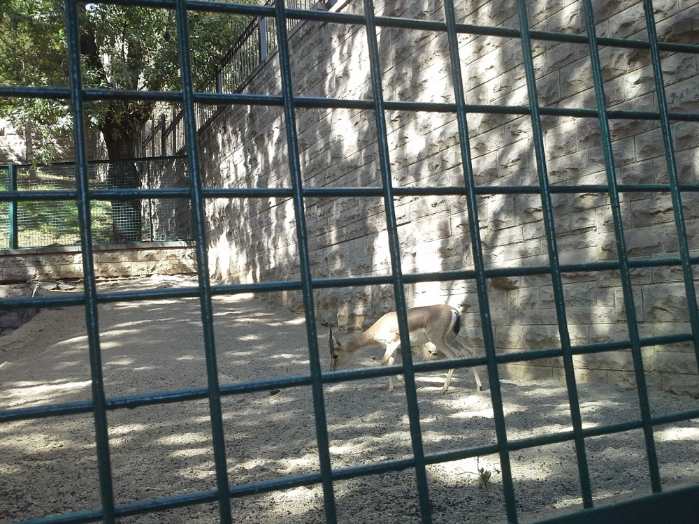 Yapraklı İmam Hatip Ortaokulu Fotoğrafları 3