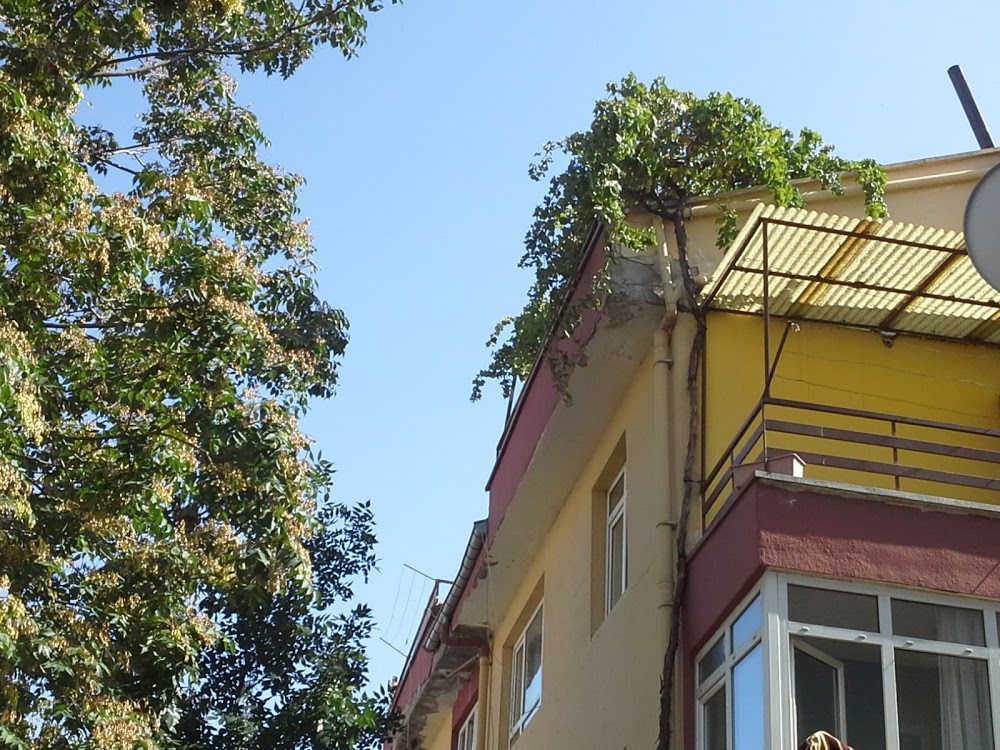 M.k.e.tophane Ortaokulu Fotoğrafları 2