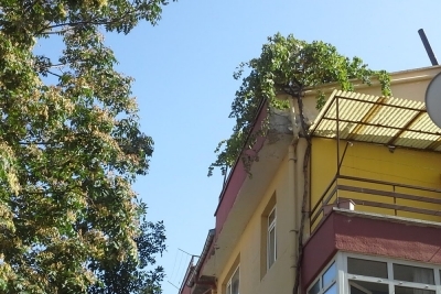 M.k.e.tophane Ortaokulu fotoğraf 2
