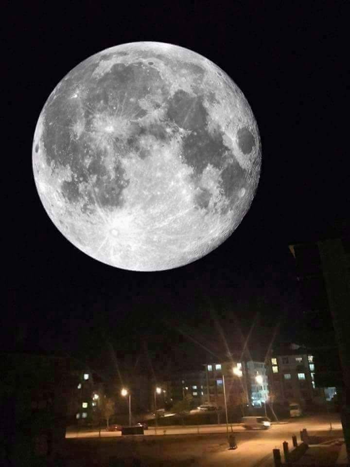 Tüney Şehit Mehmet Demir Ortaokulu Fotoğrafları 1