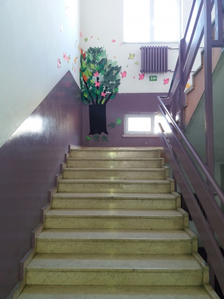 Ilgaz Yavuz Sultan Selim Ortaokulu Fotoğrafları 2