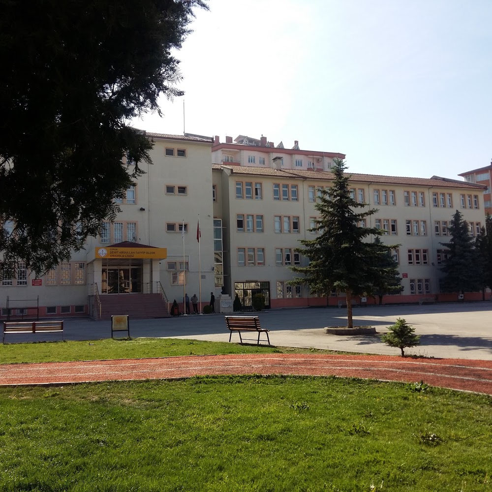 Şehit Abdullah Tayyip Olçok Anadolu Lisesi Fotoğrafları 4