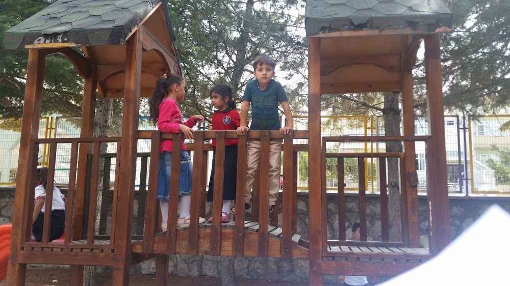 Çorum Ziya Gökalp İlkokulu Fotoğrafları 4