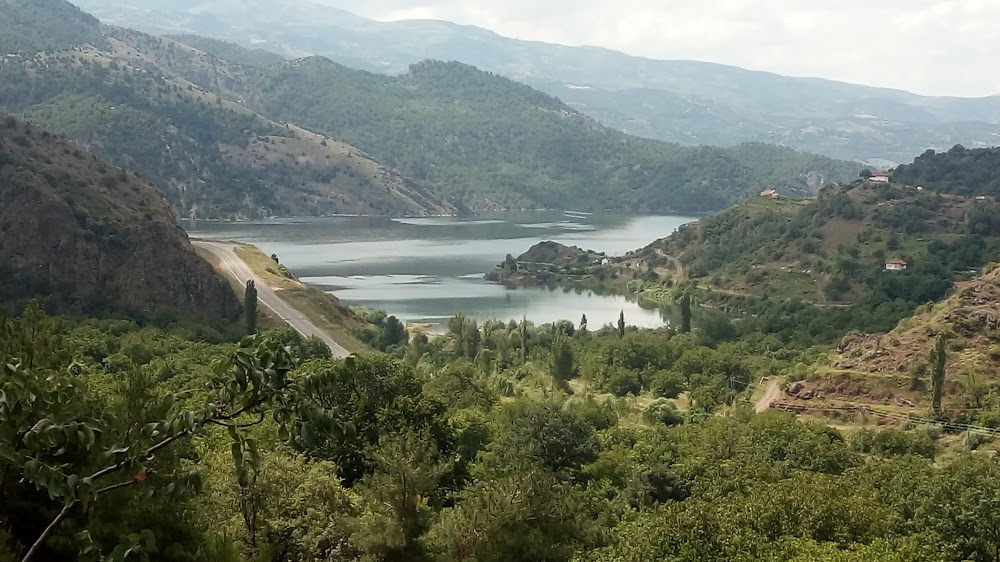 Oğuzlar Ortaokulu kampüs fotoğrafı