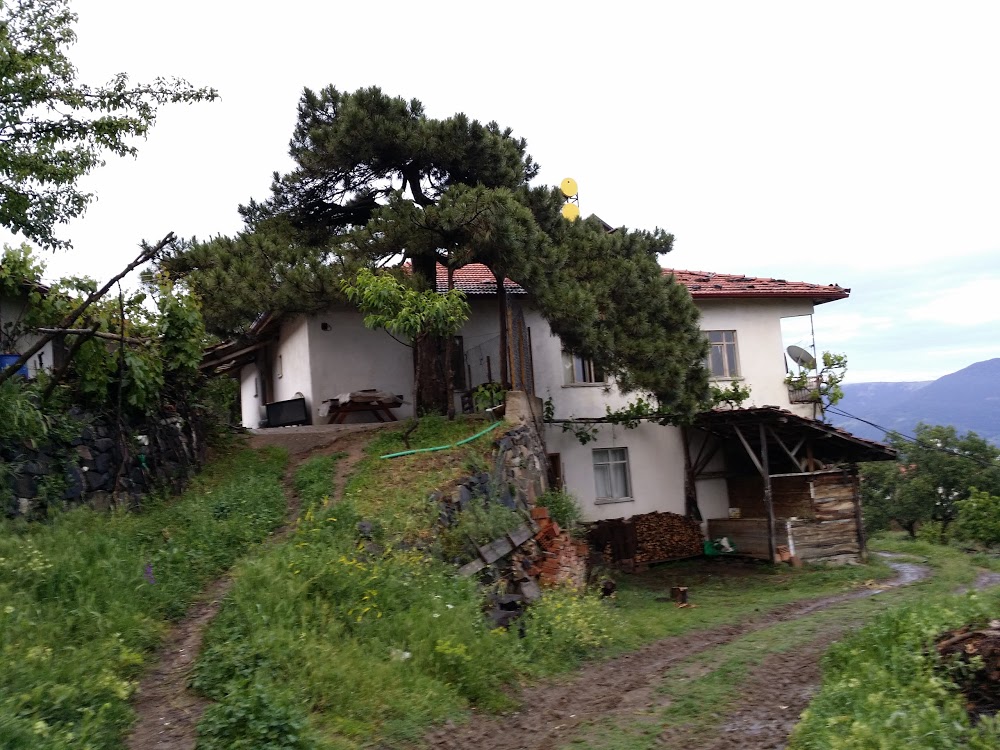 Oğuzlar Ortaokulu Fotoğrafları 3