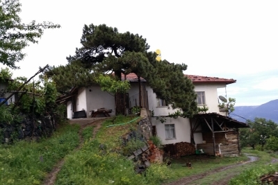 Oğuzlar Ortaokulu fotoğraf 3