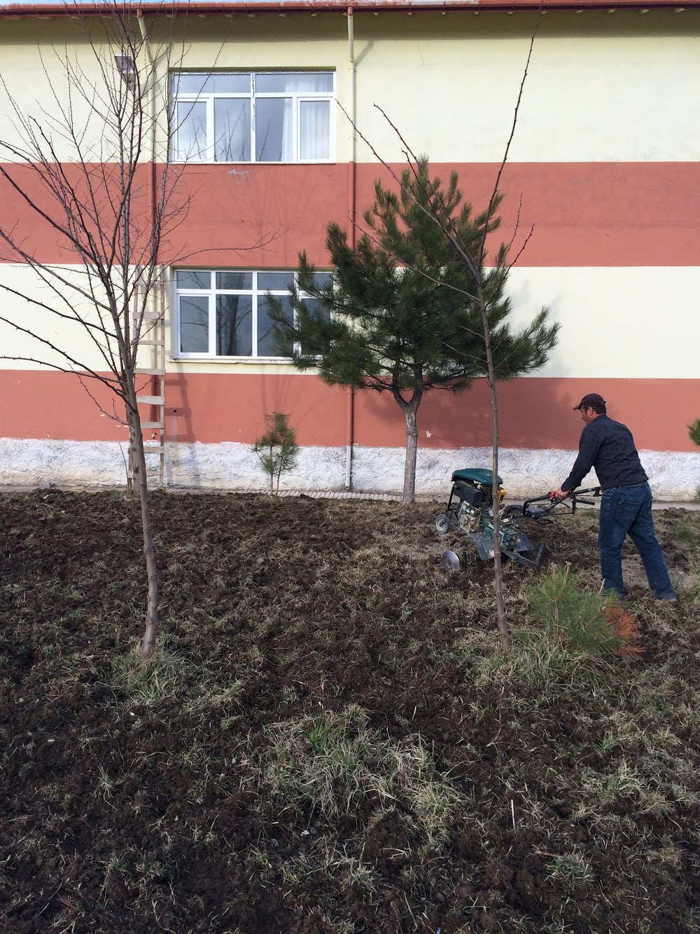 Demirşeyh Ortaokulu Fotoğrafları 2