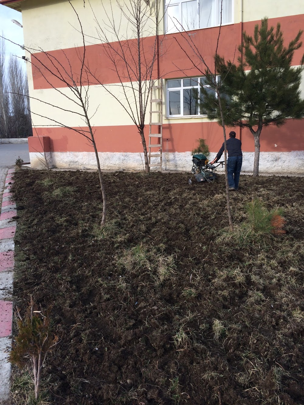 Sungurlu Eşme İlkokulu Fotoğrafları 3