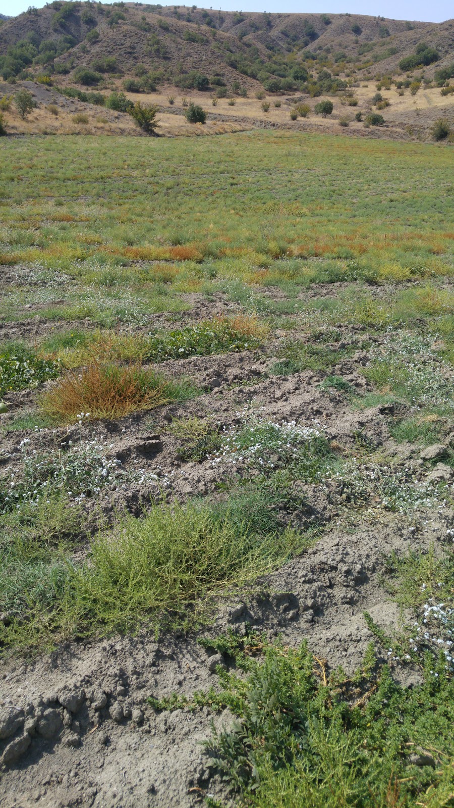 Küçük İncesu İlkokulu Fotoğrafları 1