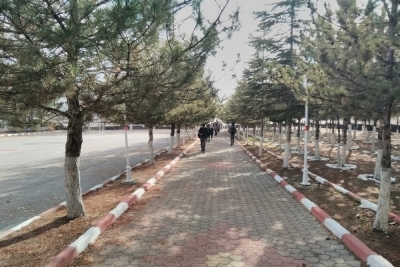 Sungurlu Anadolu Lisesi fotoğraf 4