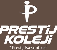 Özel Anadalu Prestij Koleji Lisesi Logosu