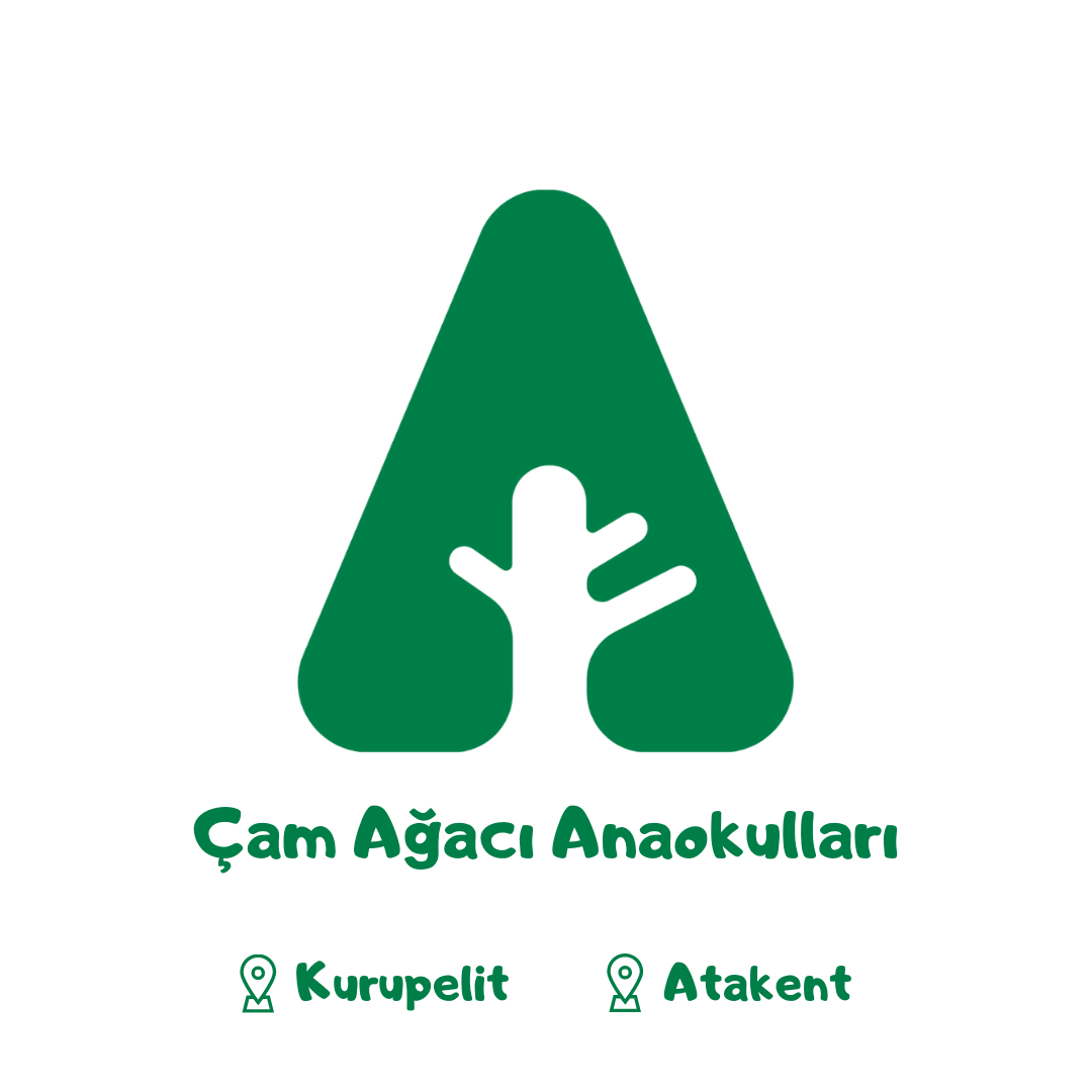 Özel Çam Ağacı Anaokulu  Anaokulu Logosu