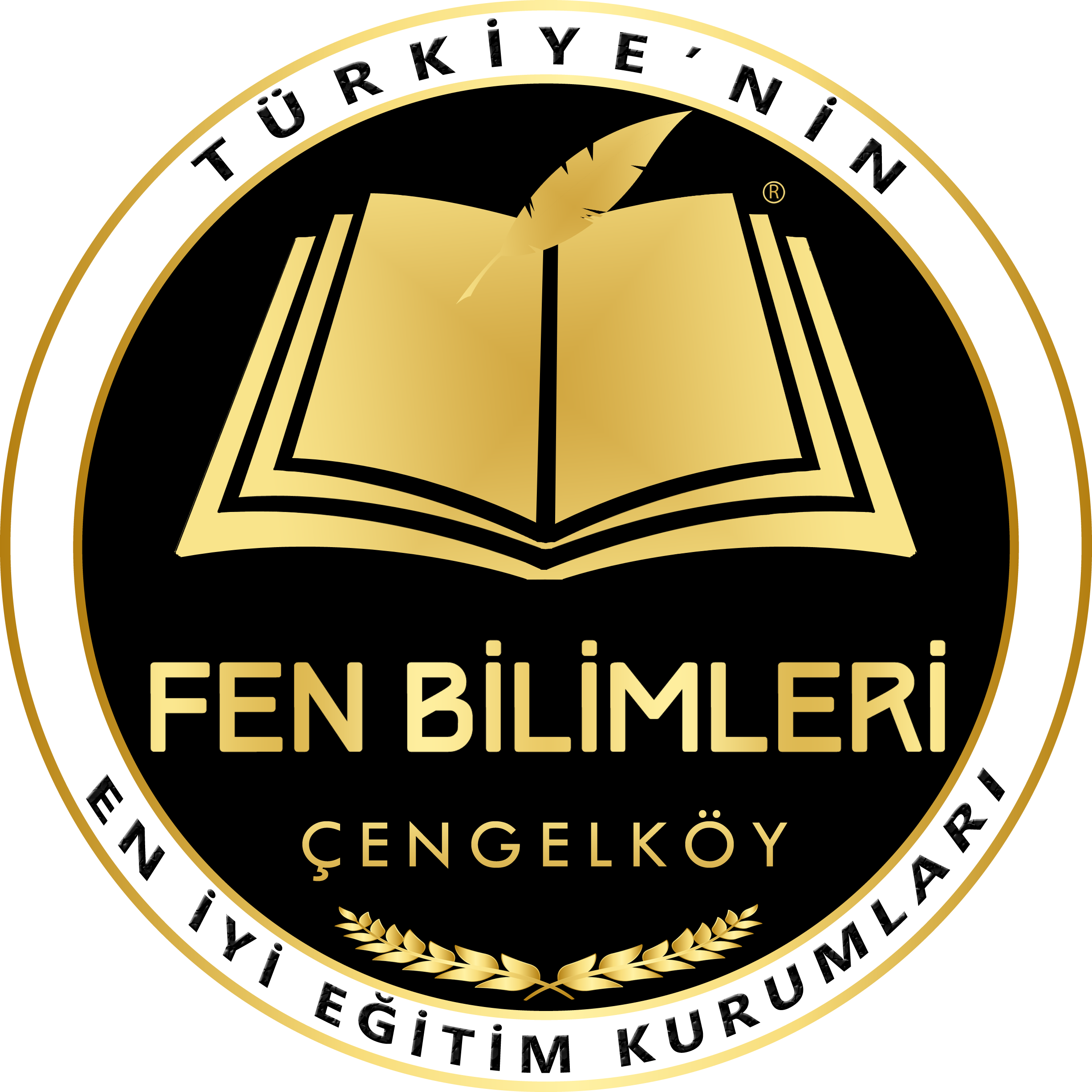 Özel Çengelköy Fen Bilimleri VIP Ortaokulu Ortaokulu Logosu