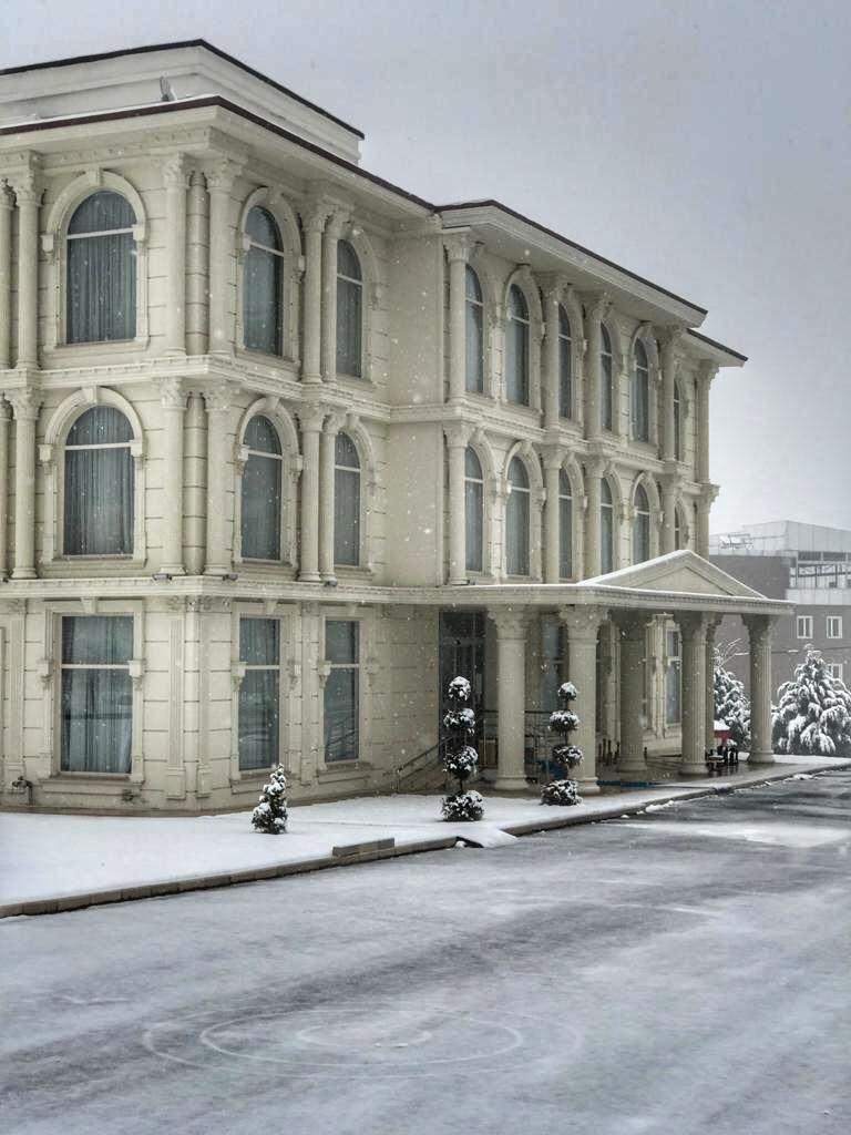 Özel Elazığ Zeka ve Yetenek Eğitimi İlkokulu & Anaokulu İlkokulu Logosu