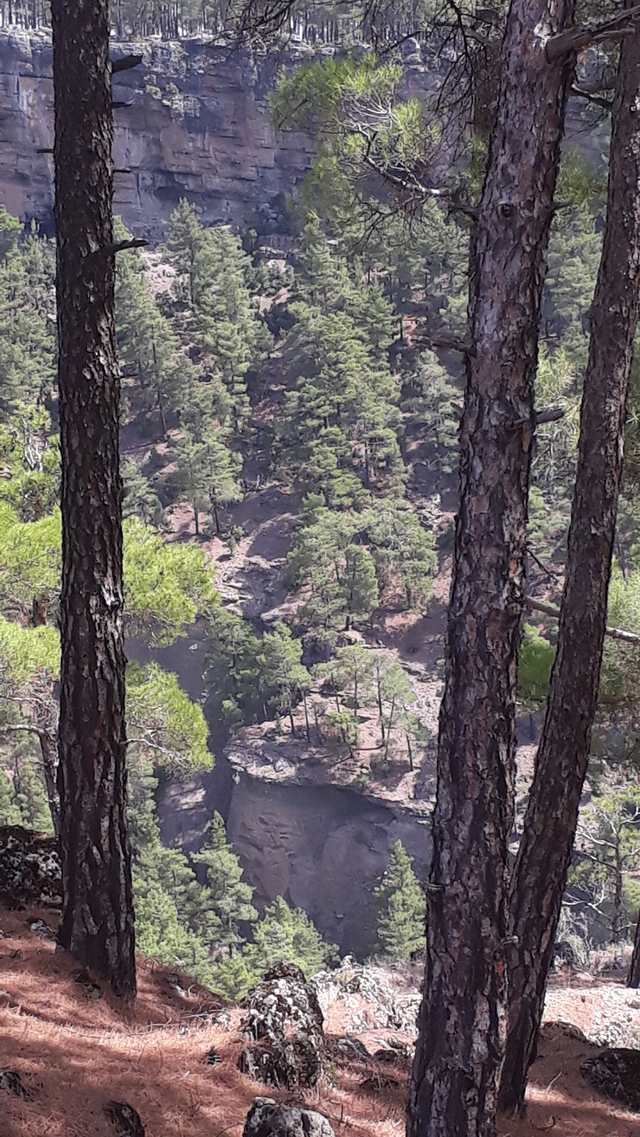 Benlik İlkokulu Fotoğrafları 1