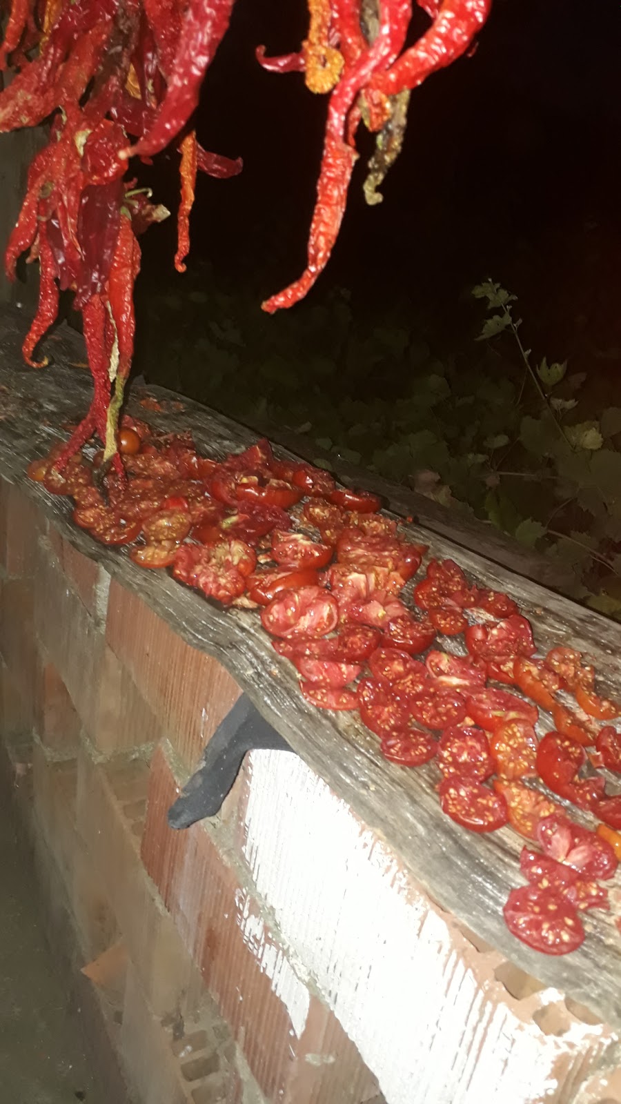 Benlik İlkokulu Fotoğrafları 2