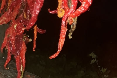 Benlik İlkokulu fotoğraf 2