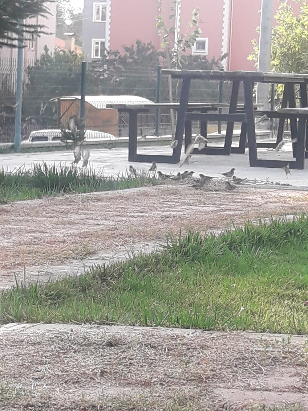Osman Manisalı İlkokulu kampüs fotoğrafı