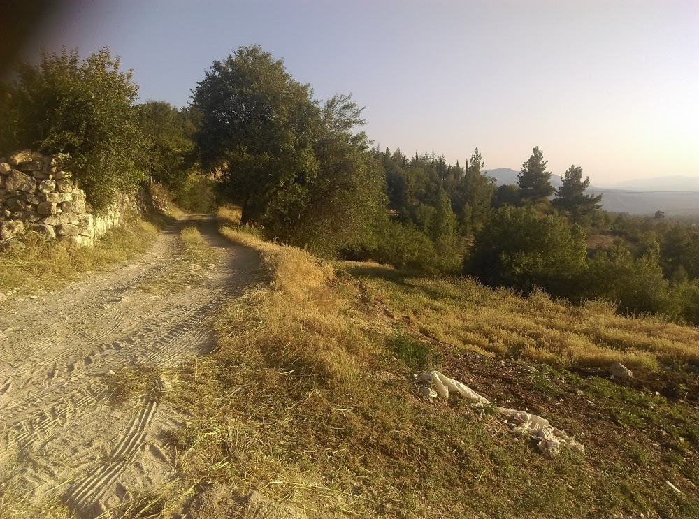 Kuzören Şehit Er Ramazan Arman İlkokulu Fotoğrafları 1