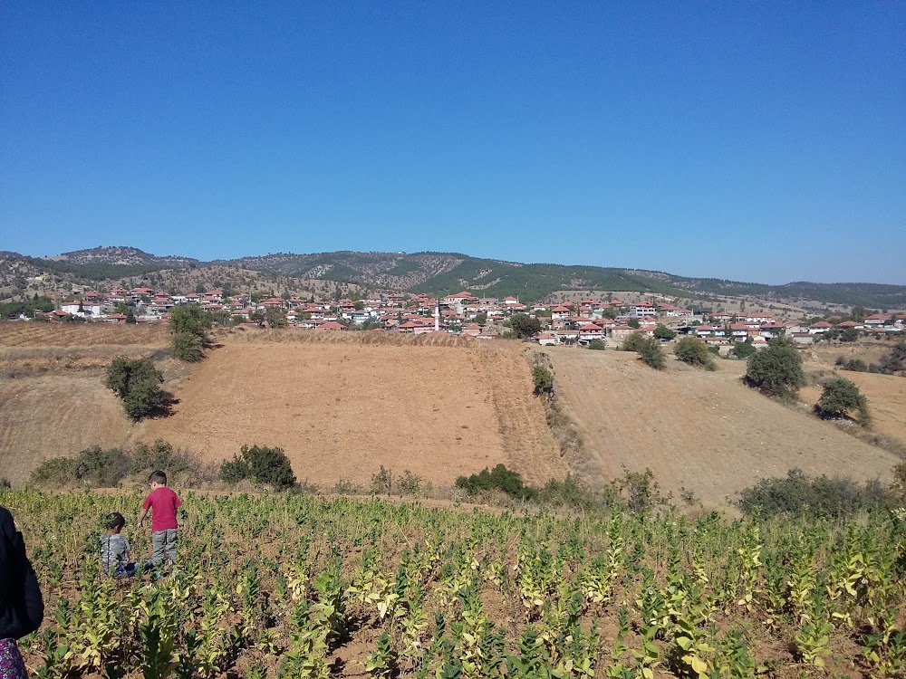 Buldan Kadıköy İlkokulu Fotoğrafları 3
